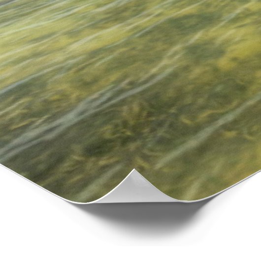 Caribbean Dock Poster (Ecke)