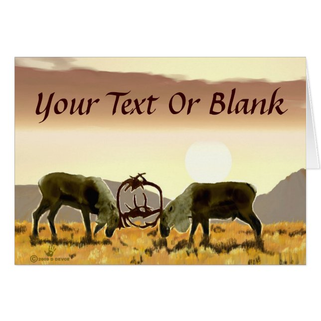 Caribbean Duel (Vorderseite (Horizontal))