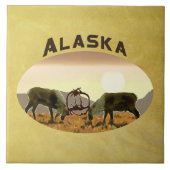 Caribbean Duel - Alaska Fliese (Vorderseite)