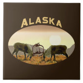 Caribbean Duel - Alaska Fliese (Vorderseite)