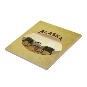 Caribbean Duel - Alaska Fliese