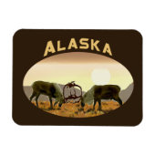 Caribbean Duel - Alaska Magnet (Horizontal)