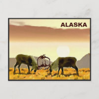 Caribbean Duel - Alaska