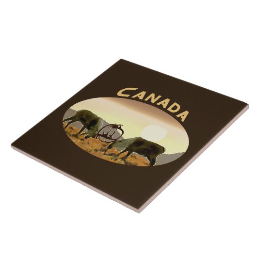 Caribbean Duel - Kanada Fliese (Seite)