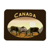 Caribbean Duel - Kanada Magnet (Horizontal)