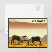 Caribbean Duel - Kanada Postkarte (Vorne/Hinten)