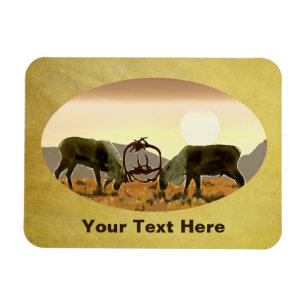 Caribbean Duel Magnet