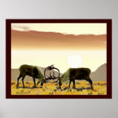 Caribbean Duel Poster (Vorne)