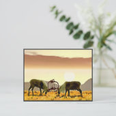 Caribbean Duel Postkarte (Stehend Vorderseite)