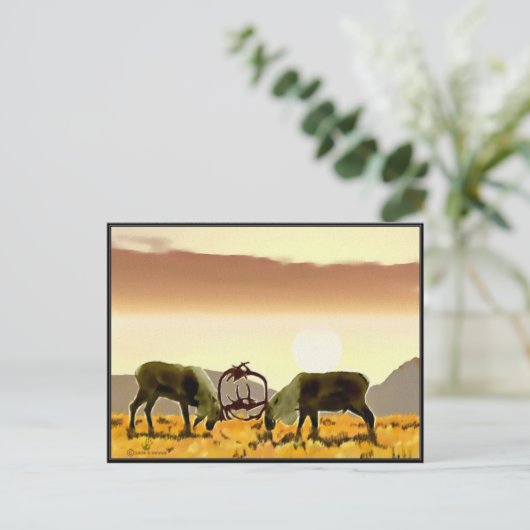 Caribbean Duel Postkarte (Stehend Vorderseite)