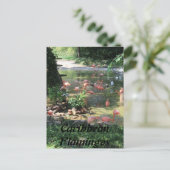 Caribbean Flamingos # 1 Postkarte (Stehend Vorderseite)
