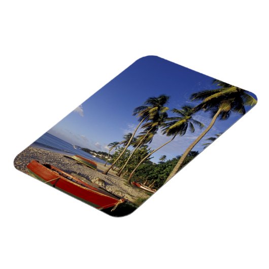 CARIBBEAN, Grenada, St. George, Palmenboote Magnet (Linke Seite)