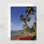 CARIBBEAN, Grenada, St. George, Palmenboote Postkarte (Vorne/Hinten)