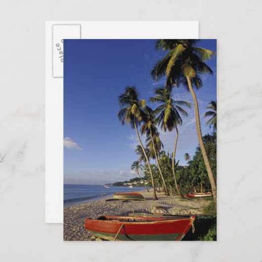CARIBBEAN, Grenada, St. George, Palmenboote Postkarte (Vorne/Hinten)