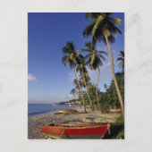 CARIBBEAN, Grenada, St. George, Palmenboote Postkarte (Vorderseite)