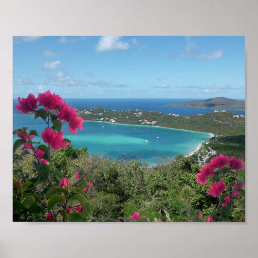 Caribbean Paradise Tropical Beach Foto Poster (Vorne)