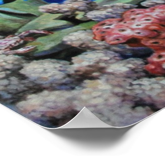 Caribbean Reef Print Poster (Ecke)
