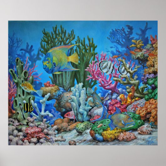 Caribbean Reef Print Poster (Vorne)