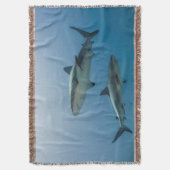 Caribbean Reef Shark Decke (Vorderseite Vertikal)