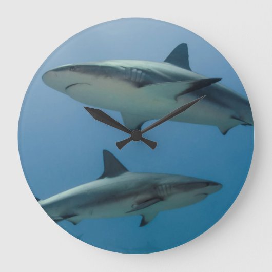 Caribbean Reef Shark Große Wanduhr (Vorderseite)