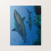 Caribbean Reef Shark Jardines de la Reina Puzzle (Vertikal)