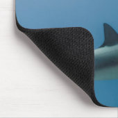 Caribbean Reef Shark Mousepad (Ecke)