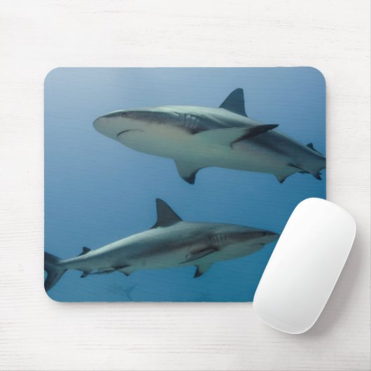Caribbean Reef Shark Mousepad (Mit Mouse)