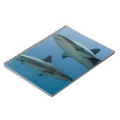 Caribbean Reef Shark Notizblock (Linke Seite)