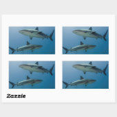 Caribbean Reef Shark Rechteckiger Aufkleber (Blatt)