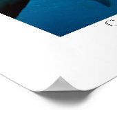 Caribbean Reef Sharks Poster (Ecke)