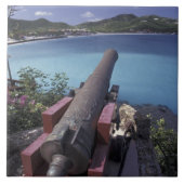 CARIBBEAN, St. Barts, Connon in die Bucht von Fliese (Vorderseite)