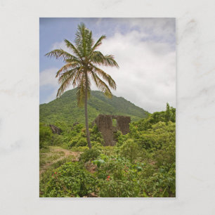 Caribbean Sugar Ruins Island Palm Tree Szene Postkarte
