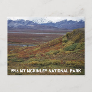 Caribbean Tundra Turning Red MT McKinley National Postkarte