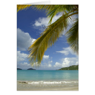 Caribbean, U.S. Jungfrau Islands, St.Thomas,