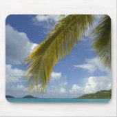 Caribbean, U.S. Jungfrau Islands, St.Thomas, Mousepad (Vorne)