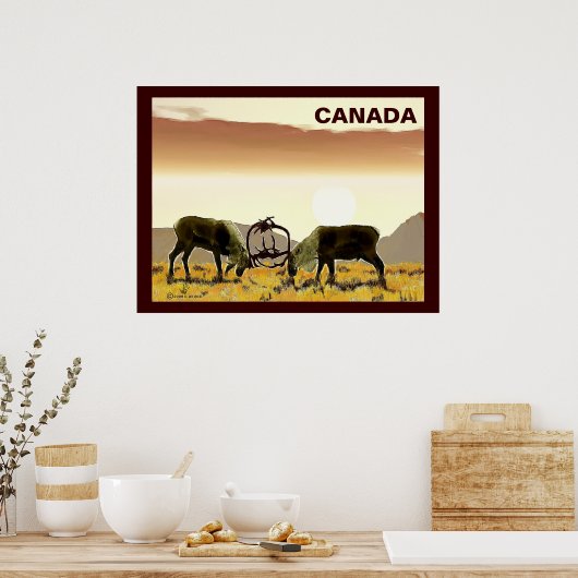 Caribou Duel - Canada Poster (Küche)