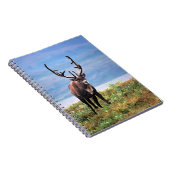 Caribou or Reindeer | Denali National Park, Alaska Notizblock (Rechte Seite)