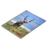 Caribou or Reindeer | Denali National Park, Alaska Notizblock (Linke Seite)