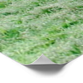 Caribou with Large Antlers Poster (Ecke)