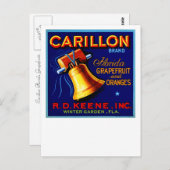 Carillon Florida Grapefruits Postkarte (Vorne/Hinten)