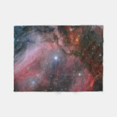 Carina-Nebelfleck um den Wolf-Rayet Stern WR 22 Fleecedecke (Vorderseite (Horizontal))