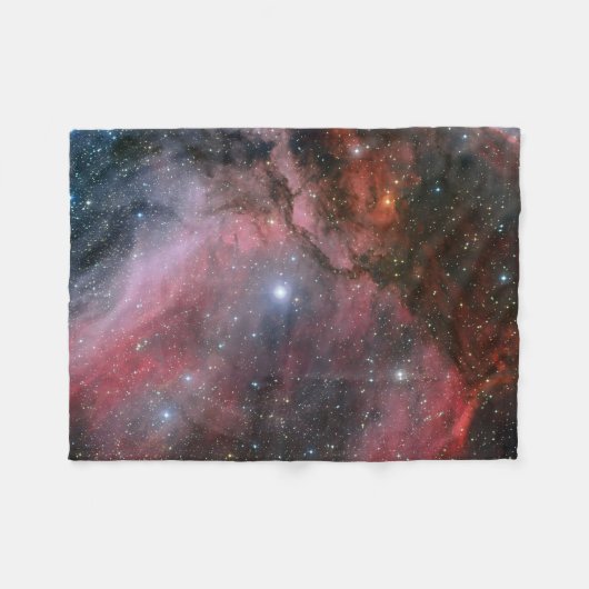 Carina-Nebelfleck um den Wolf-Rayet Stern WR 22 Fleecedecke (Vorderseite (Horizontal))