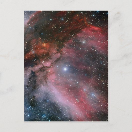 Carina Nebula um den Wolf Rayet Stern WR 22 Postkarte (Vorderseite)