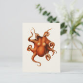 Carl Chun Vintag Octopus Illustration Marine Postkarte (Stehend Vorderseite)