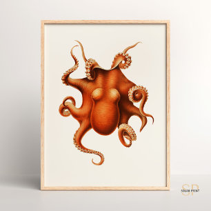 Carl Chun Vintage-Oktopus-Illustration Marine Poster