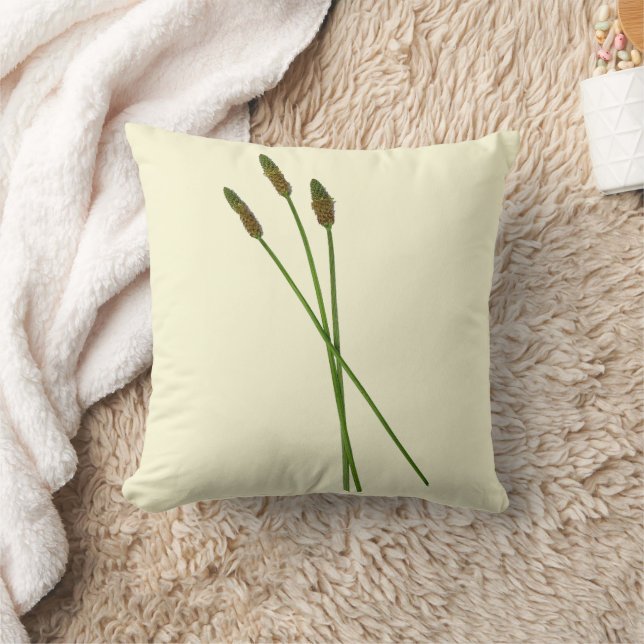 Carl Doddy  Kissen (Decke)