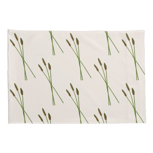 Carl Doddy  Kissenbezug (Rückseite-Rechts)