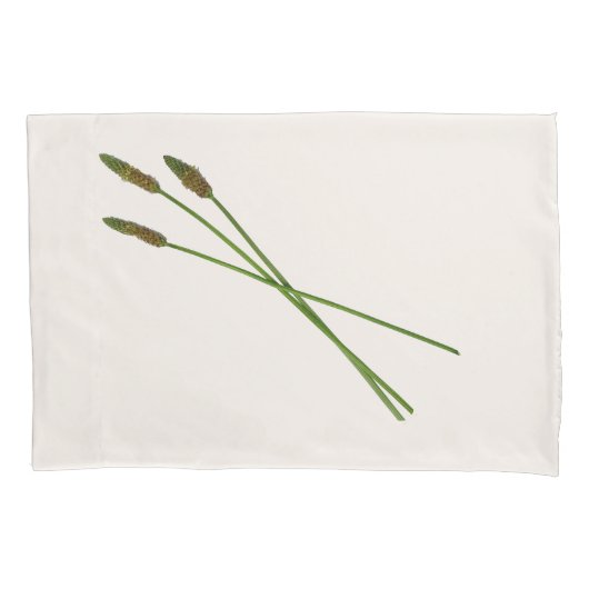 Carl Doddy  Kissenbezug (Vorderseite-Links)