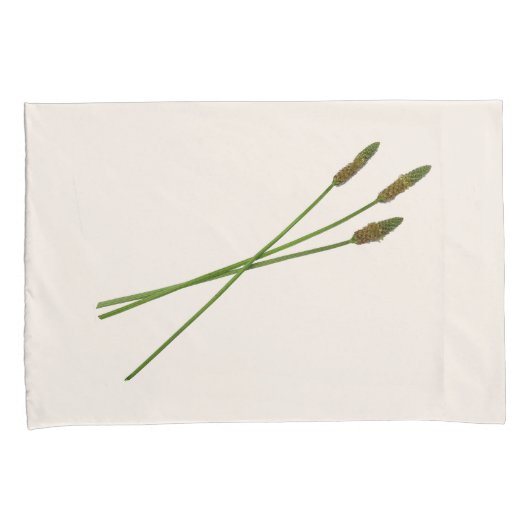 Carl Doddy  Kissenbezug (Vorderseite-Rechts)