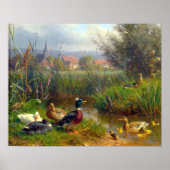 Carl Jutz Ducks Poster (Vorne)